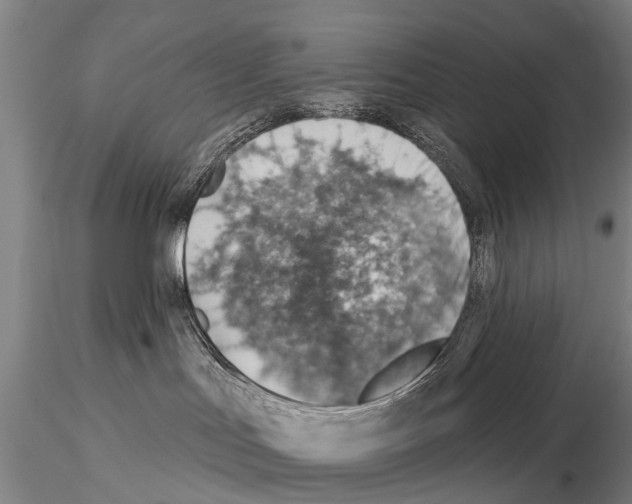 X0000115010047200912071214