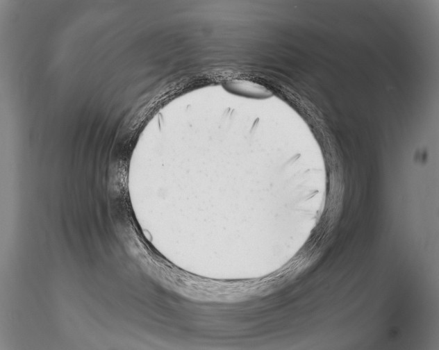 X0000115010048200912071214