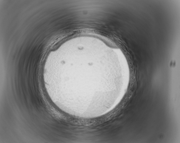 X0000115010049200912071213