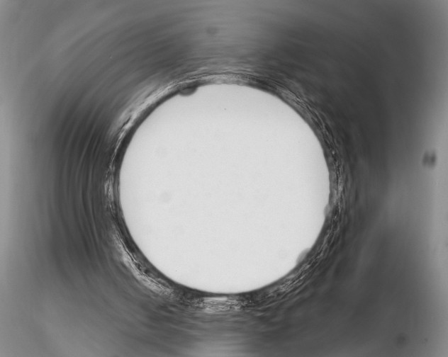 X0000115010050200912071213