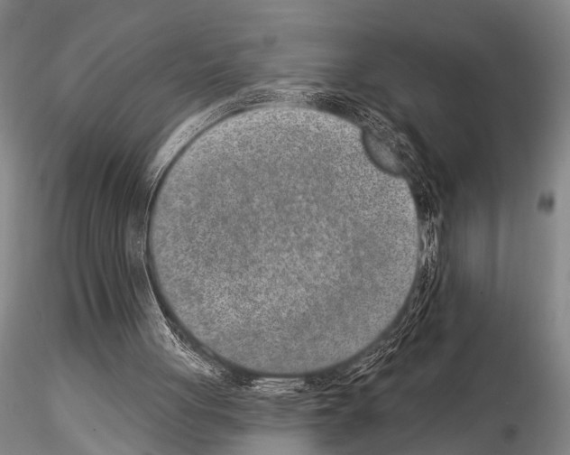 X0000115010051200912071213