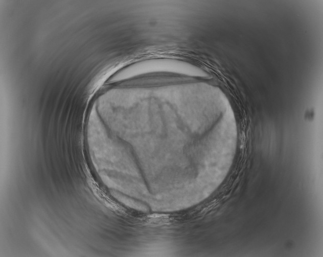 X0000115010052200912071213