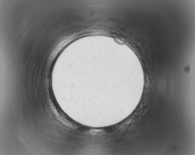 X0000115010055200912071213