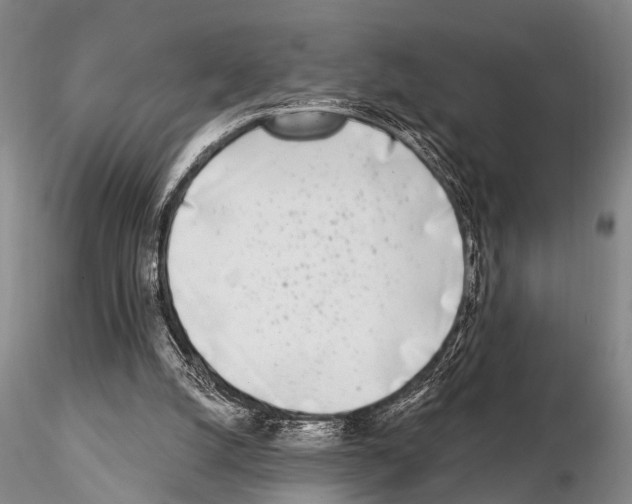 X0000115010056200912071213