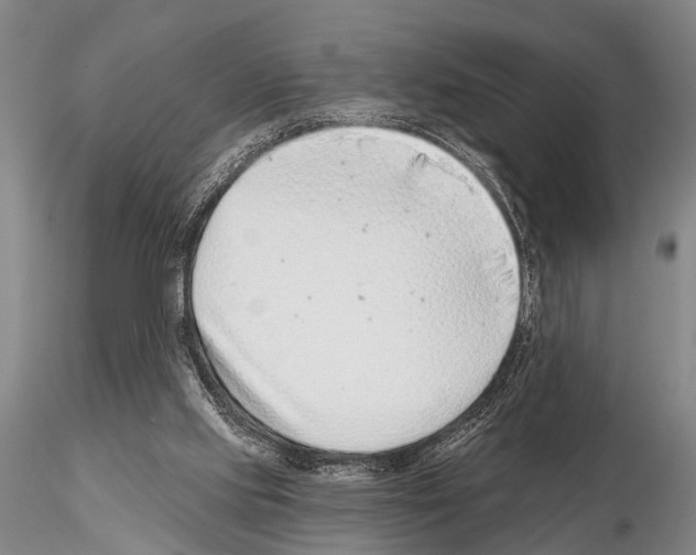 X0000115010061200912071213