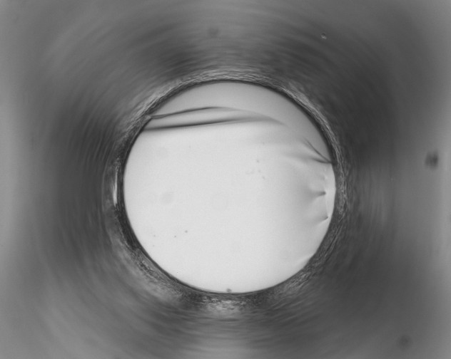 X0000115010062200912071213