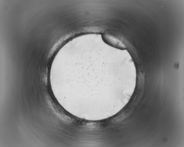 X0000115010064200912071213