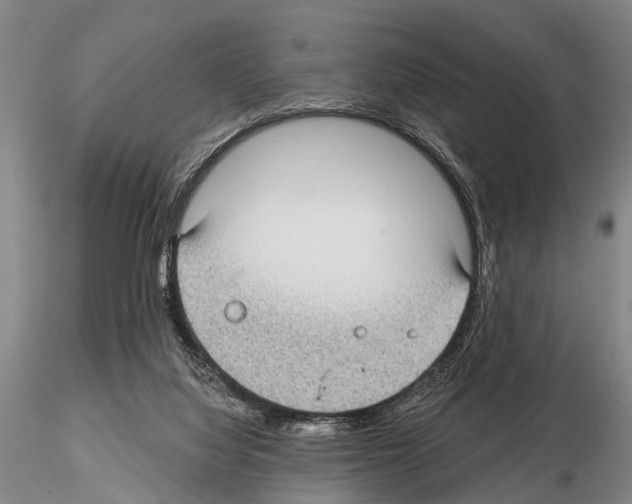 X0000115010068200912071214