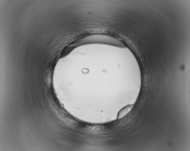 X0000115010069200912071214