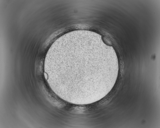 X0000115010071200912071214