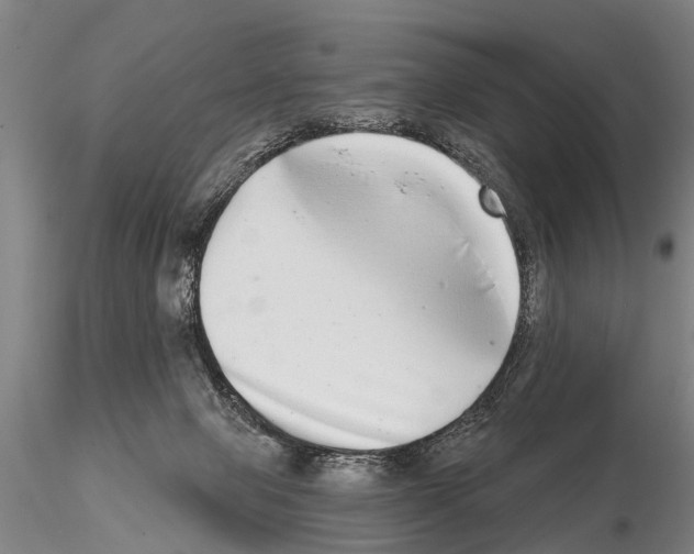 X0000115010077200912071214