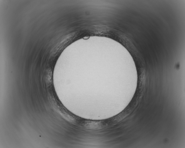 X0000115010081200912071214