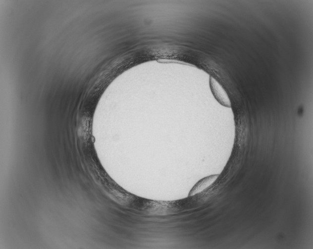 X0000115010093200912071214