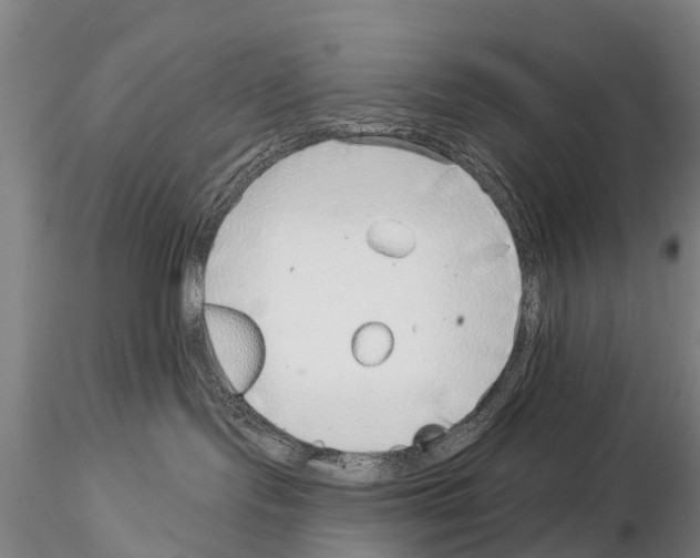 X0000115010095200912071214