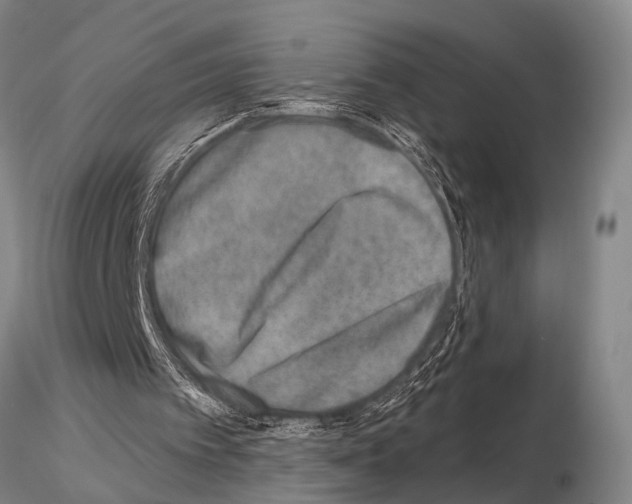 X0000115010097200912071213