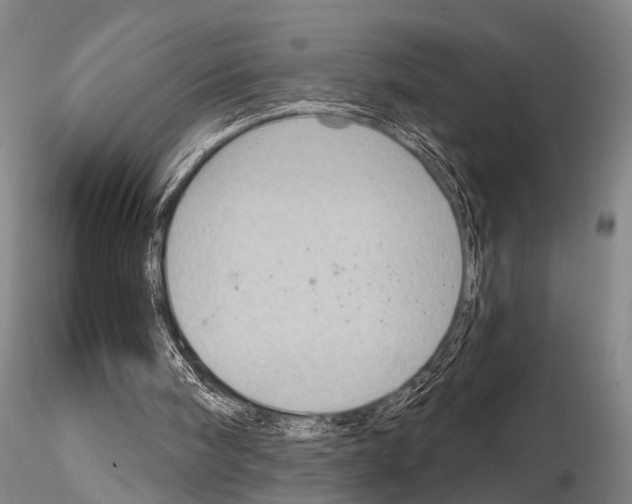 X0000115010098200912071213