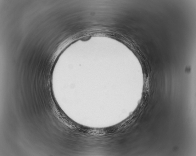 X0000115010099200912071213