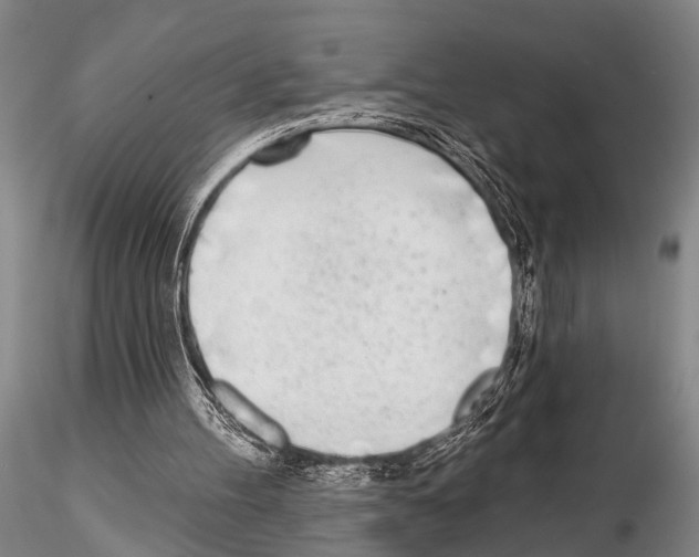 X0000115010100200912071213