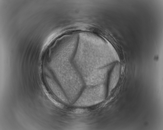 X0000115010101200912071213