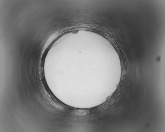 X0000115010102200912071213