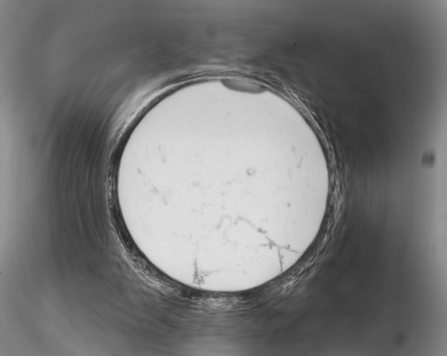 X0000115010103200912071213