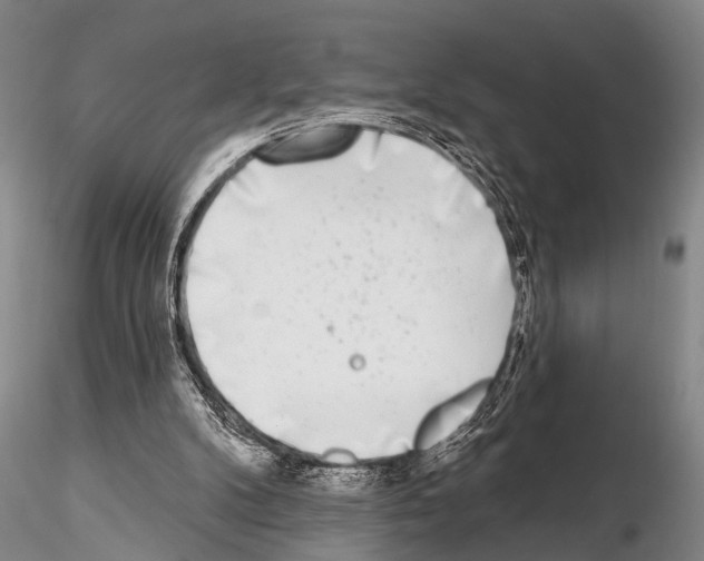 X0000115010104200912071213