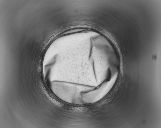 X0000115010105200912071213