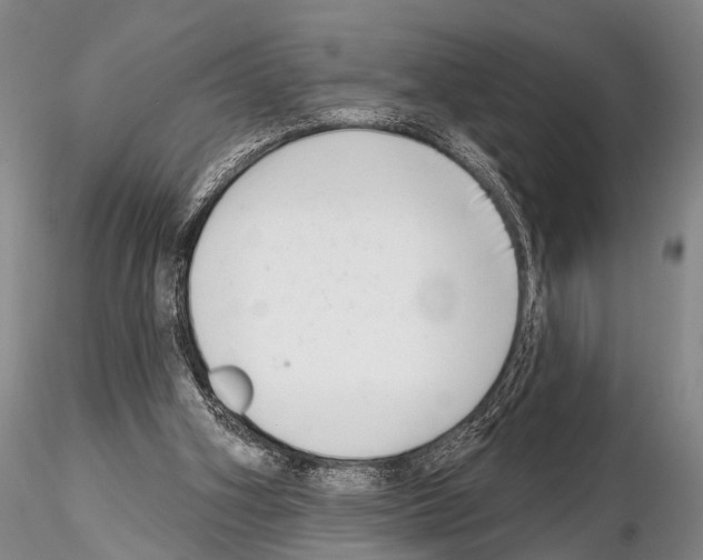 X0000115010106200912071213