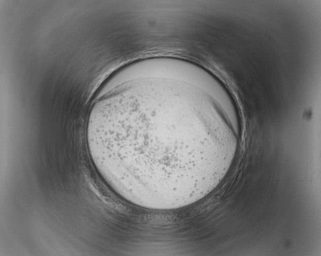 X0000115010107200912071213