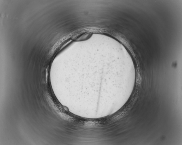 X0000115010109200912071213