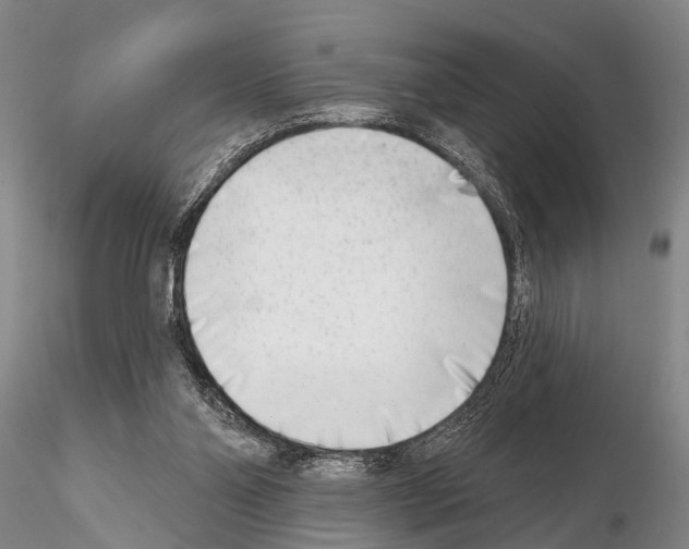 X0000115010110200912071213