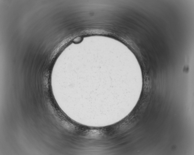 X0000115010111200912071213