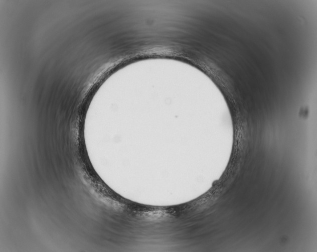 X0000115010112200912071213