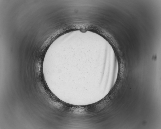 X0000115010113200912071213