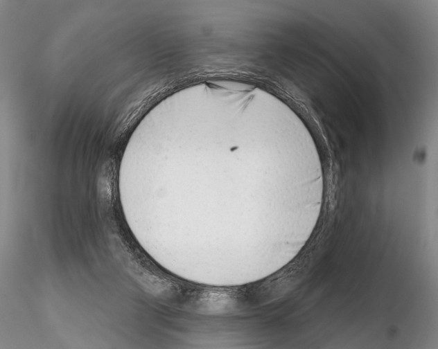 X0000115010114200912071213