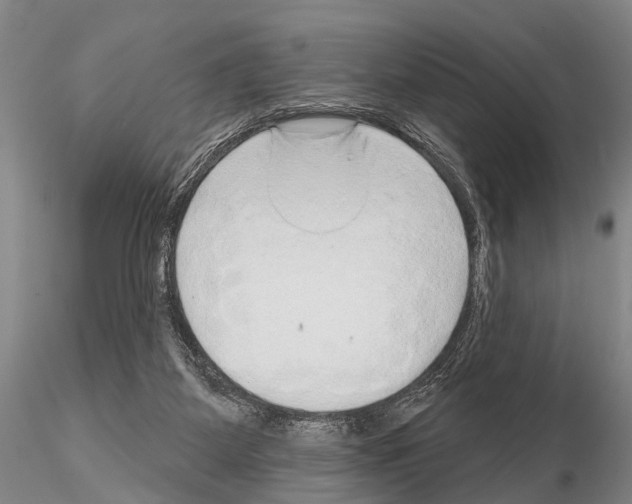 X0000115010115200912071213