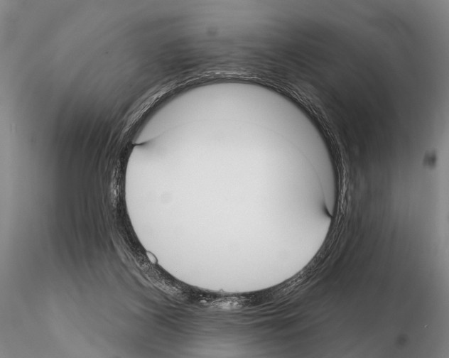 X0000115010116200912071213