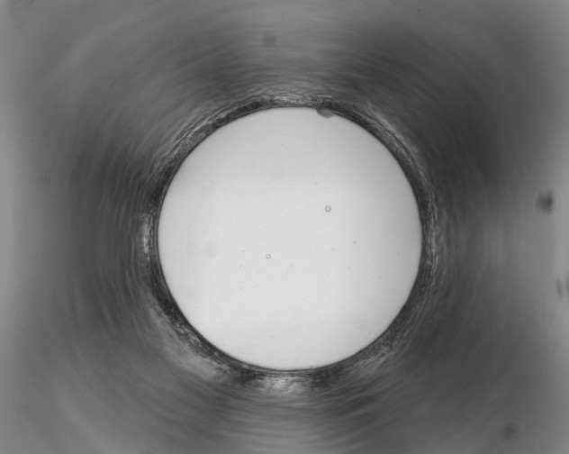 X0000115010117200912071213