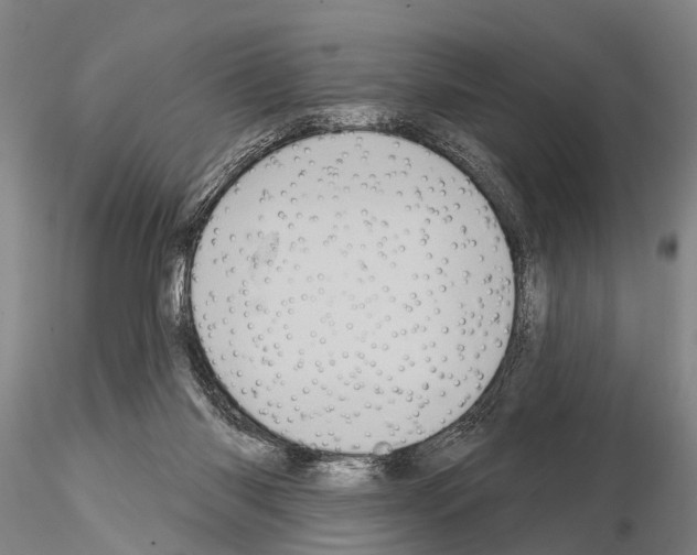 X0000115010118200912071213