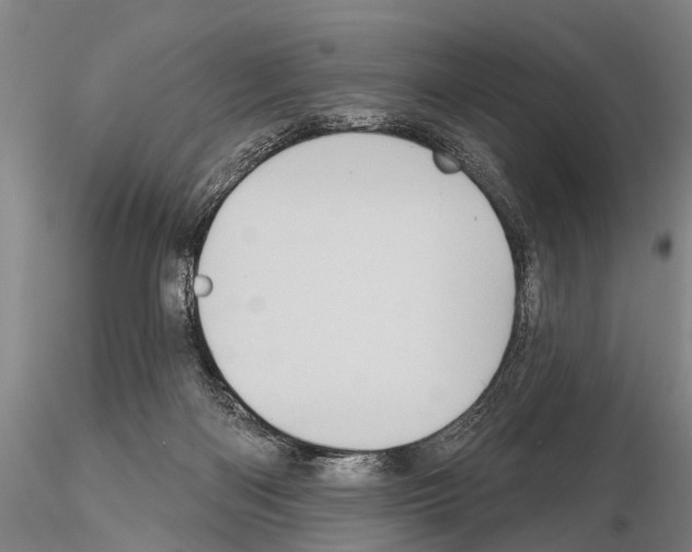 X0000115010122200912071213