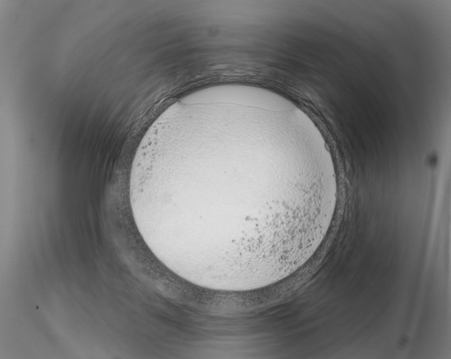 X0000115010123200912071213