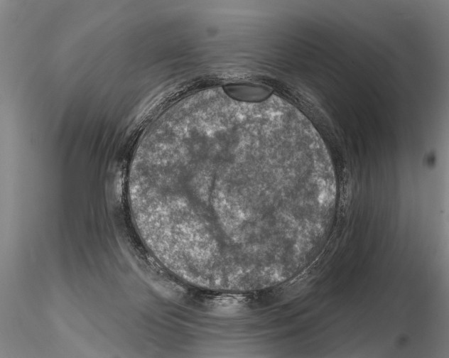 X0000115010124200912071213