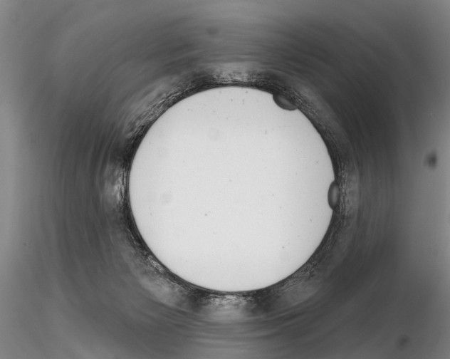 X0000115010125200912071213