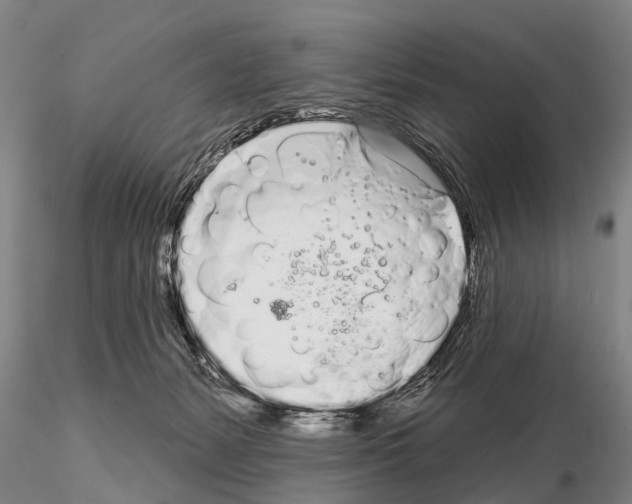 X0000115010127200912071213