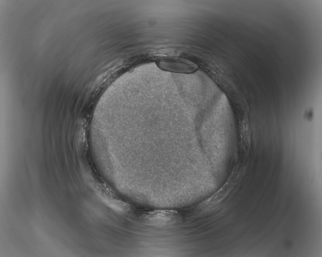 X0000115010128200912071213