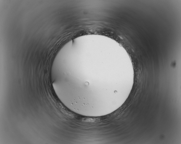 X0000115010129200912071213