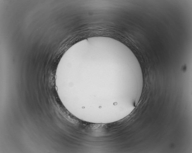 X0000115010136200912071213