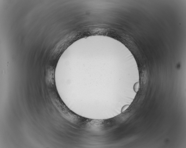 X0000115010138200912071213