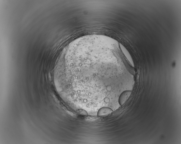 X0000115010139200912071213