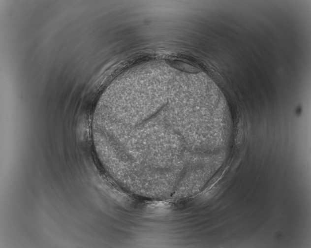 X0000115010140200912071213